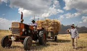 افزایش قیمت گندم به ۱۹۳۰تومان