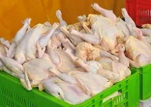 مرغ در یک هفته ۸.۸ درصد گران شد